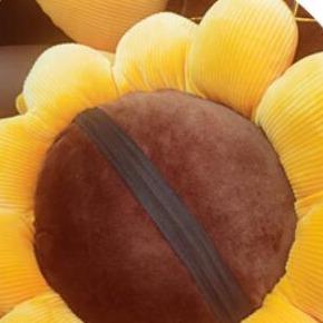 Sunny Sunflower Cushion